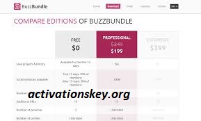 buzzbundle enterprise license key